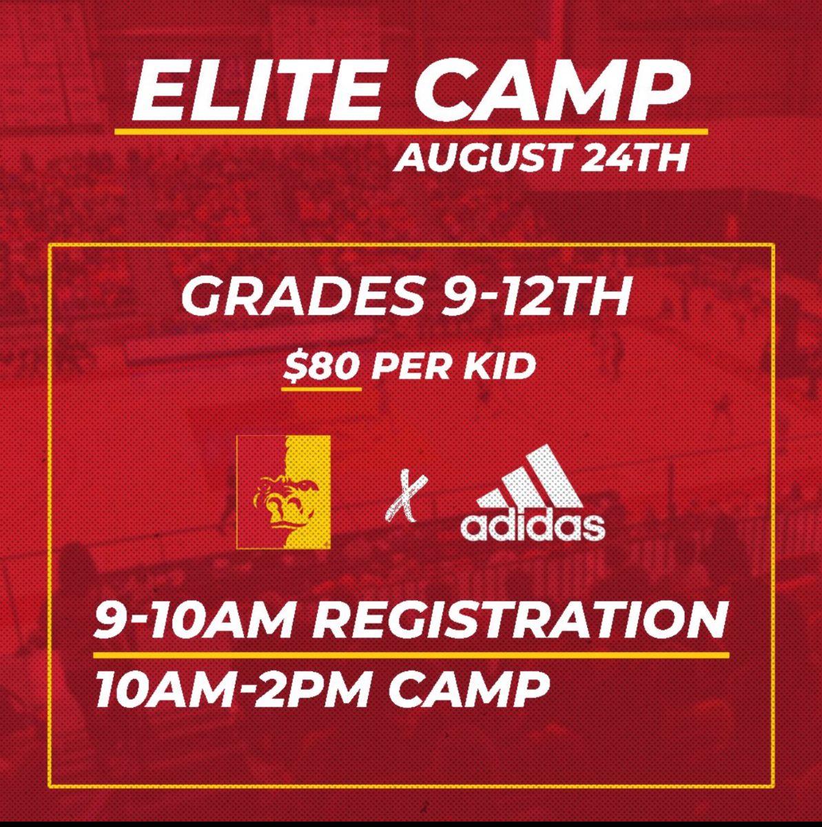 Elite Camp